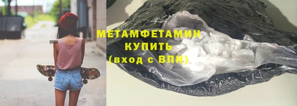 прущие грибы Богданович
