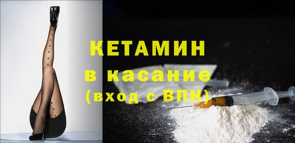 прущие грибы Богданович