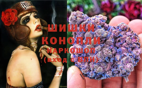 скорость Богородск