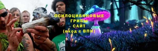 соль курить ск Богородицк
